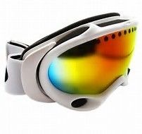 Lunettes UV de surf des neiges de ski de protection, lunettes polarisées de neige pour l'adulte fournisseur